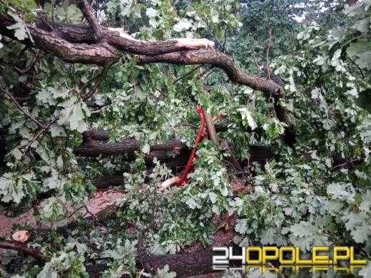 Bilans burzowej nocy na Opolszczyźnie: najwięcej interwencji w powiecie opolskim