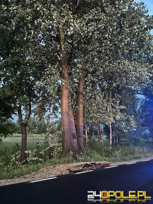 Bilans burzowej nocy na Opolszczyźnie: najwięcej interwencji w powiecie opolskim