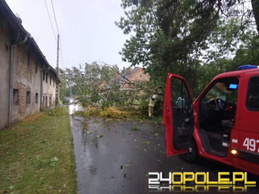 Bilans burzowej nocy na Opolszczyźnie: najwięcej interwencji w powiecie opolskim