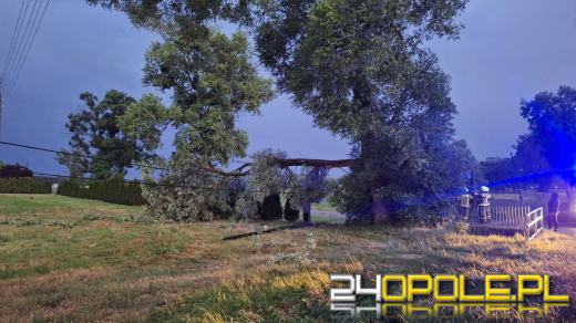 Bilans burzowej nocy na Opolszczyźnie: najwięcej interwencji w powiecie opolskim