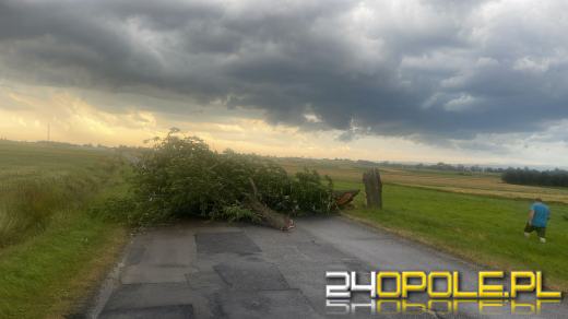 Bilans burzowej nocy na Opolszczyźnie: najwięcej interwencji w powiecie opolskim