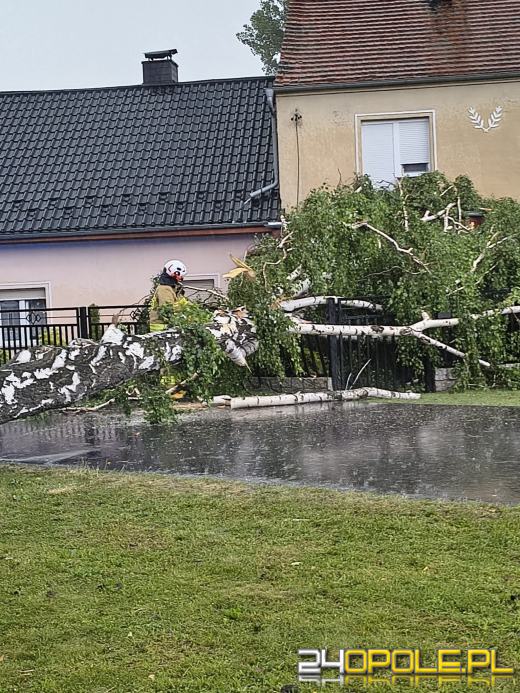 Bilans burzowej nocy na Opolszczyźnie: najwięcej interwencji w powiecie opolskim