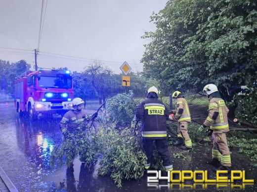 Bilans burzowej nocy na Opolszczyźnie: najwięcej interwencji w powiecie opolskim