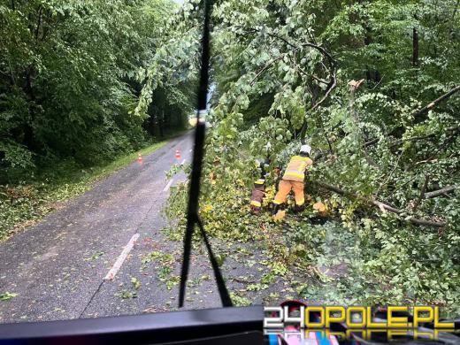 Bilans burzowej nocy na Opolszczyźnie: najwięcej interwencji w powiecie opolskim