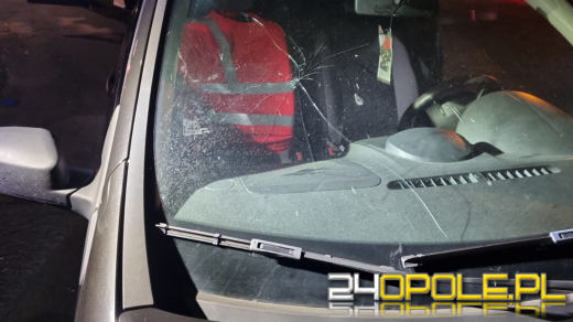 Prowadziła pijana i z pękniętą przednią szybą auta. Pijana kobieta w rękach policji