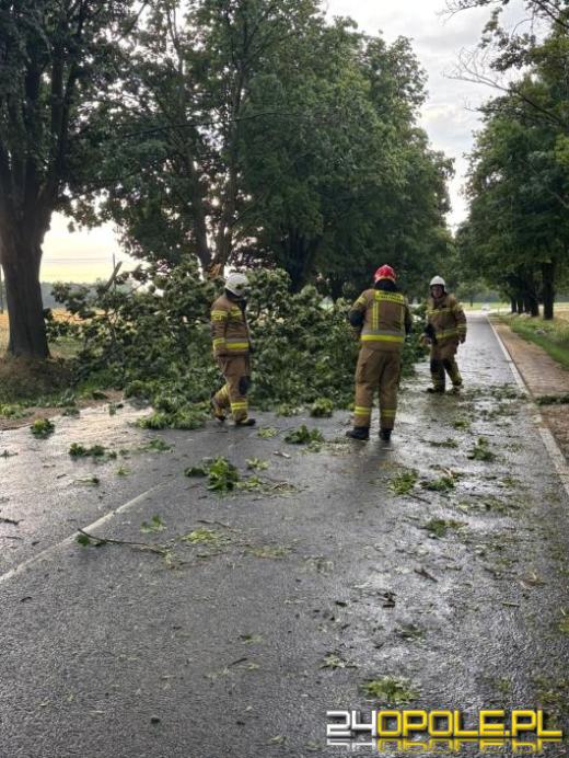 Burze nad regionem - ponad 60 interwencji strażaków, najwięcej w Opolu i okolicach
