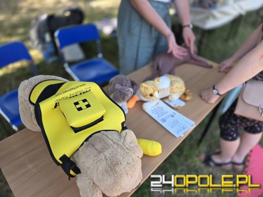 Rodzinny Zwierzopiknik 2025 trwa na Błoniach Politechniki Opolskiej