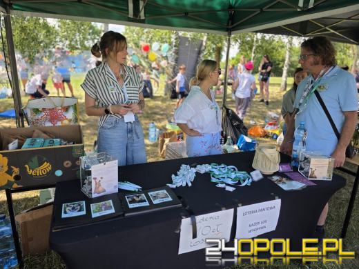 Rodzinny Zwierzopiknik 2025 trwa na Błoniach Politechniki Opolskiej