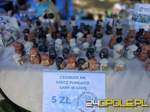 Rodzinny Zwierzopiknik 2025 trwa na Błoniach Politechniki Opolskiej