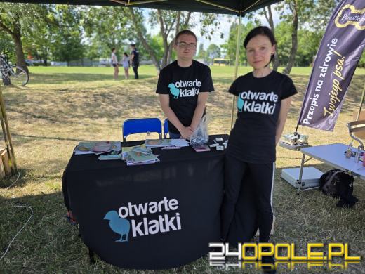 Rodzinny Zwierzopiknik 2025 trwa na Błoniach Politechniki Opolskiej