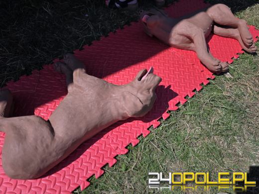 Rodzinny Zwierzopiknik 2025 trwa na Błoniach Politechniki Opolskiej