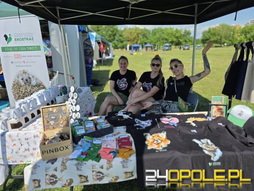 Rodzinny Zwierzopiknik 2025 trwa na Błoniach Politechniki Opolskiej