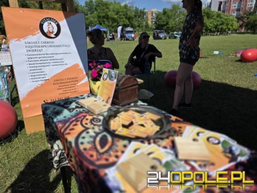 Rodzinny Zwierzopiknik 2025 trwa na Błoniach Politechniki Opolskiej