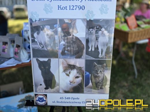 Rodzinny Zwierzopiknik 2025 trwa na Błoniach Politechniki Opolskiej