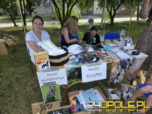 Rodzinny Zwierzopiknik 2025 trwa na Błoniach Politechniki Opolskiej