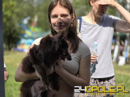 Rodzinny Zwierzopiknik 2025 trwa na Błoniach Politechniki Opolskiej