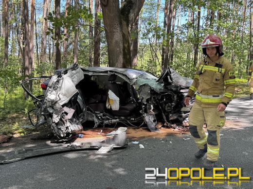 Cudem przeżył ogromną kraksę. Auto w częściach, a kierowca przeżył