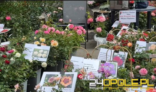 Barwna scenografia i wieczór koncertów w Otmuchowie. Trwa "Lato Kwiatów".