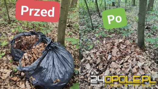 Śmieci w lesie zamiast na kompost? Ludzką nieodpowiedzialność w Antoniowie