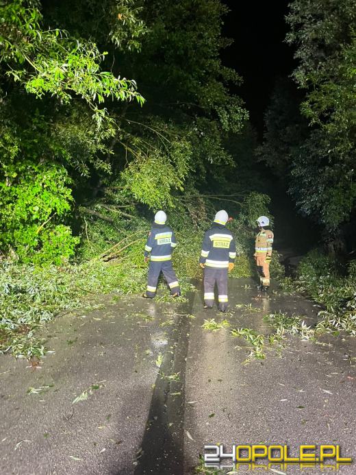 Uspokojenie po burzach. Opolskie z łagodnym bilansem nocnych opadów