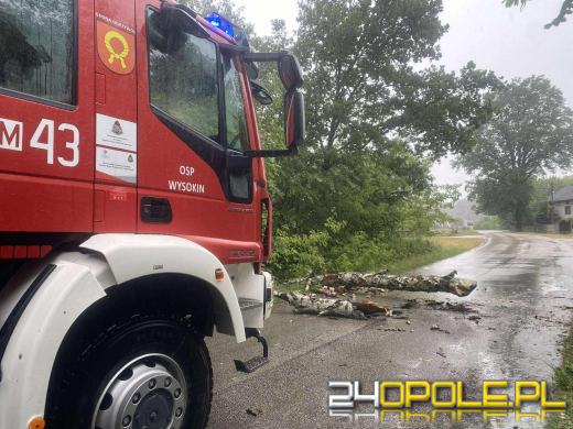 Uspokojenie po burzach. Opolskie z łagodnym bilansem nocnych opadów