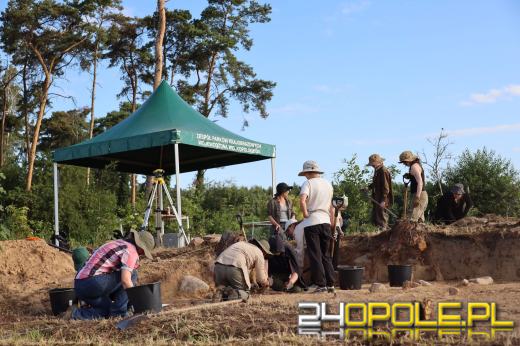 "Polskie piramidy" odkryte w Wielkopolsce! Sensacyjne znalezisko sprzed 5,5 tysiąca lat