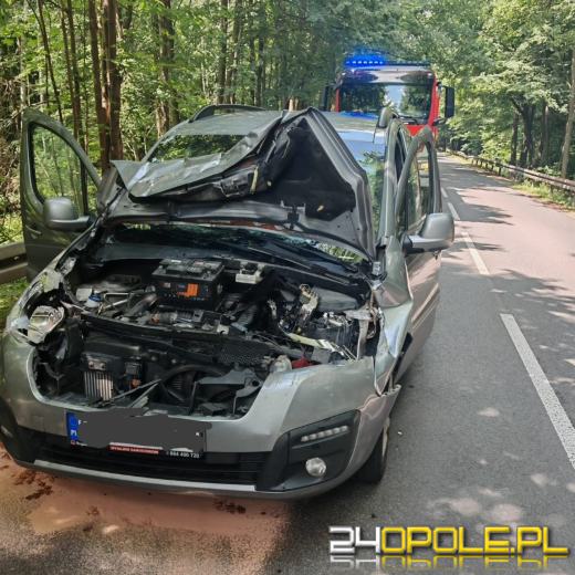 Konar runął na auto na trasie Pokój - Krzywa Góra