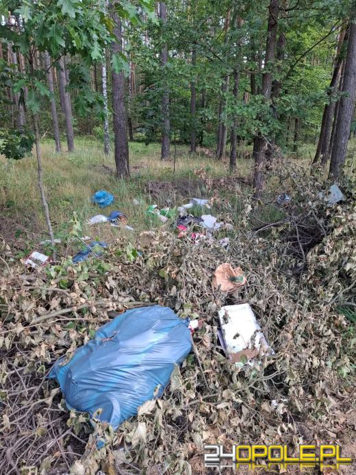 Nielegalny wywóz śmieci do lasu. Znów ktoś pomylił las z pszokiem