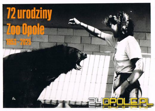 To już 72 lata! Opolski Ogród Zoologiczny świętuje urodziny