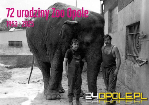 To już 72 lata! Opolski Ogród Zoologiczny świętuje urodziny