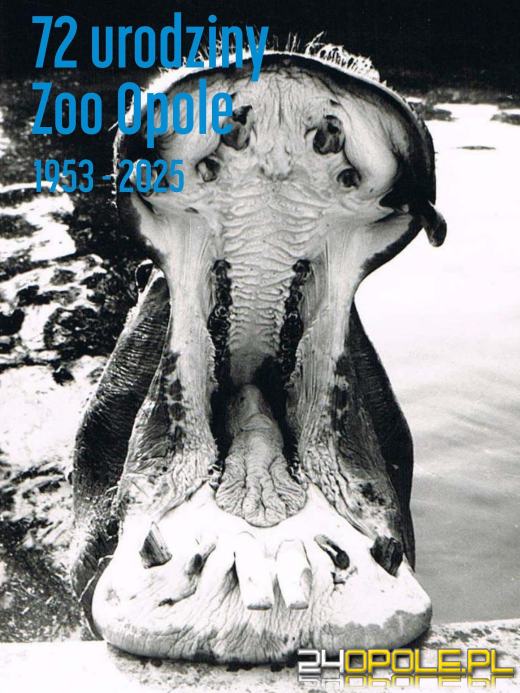 To już 72 lata! Opolski Ogród Zoologiczny świętuje urodziny