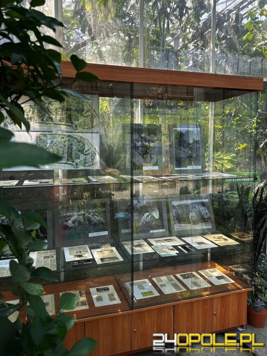 To już 72 lata! Opolski Ogród Zoologiczny świętuje urodziny