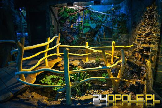 To już 72 lata! Opolski Ogród Zoologiczny świętuje urodziny