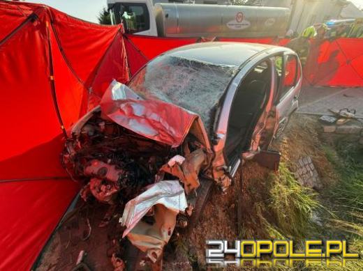 118 ofiar śmiertelnych na drogach w wakacje. Opolskie jedynym województwem bez ofiar w lipcu