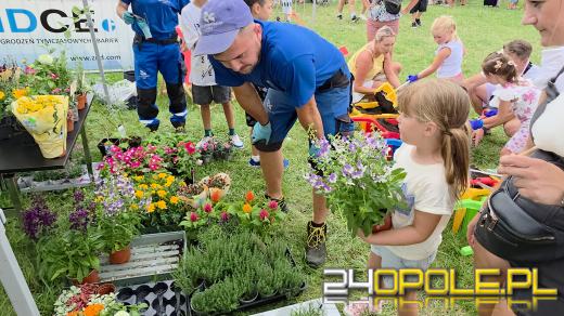 Rodzinny piknik na Orliku Malinka. Trwa świętowanie półmetka wakacji i 25-lecia klubu Wiking