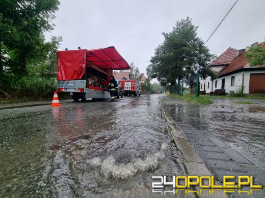 Strażacy interweniowali już 55 razy. Najwięcej zgłoszeń z powiatu nyskiego. Aktualizacja 