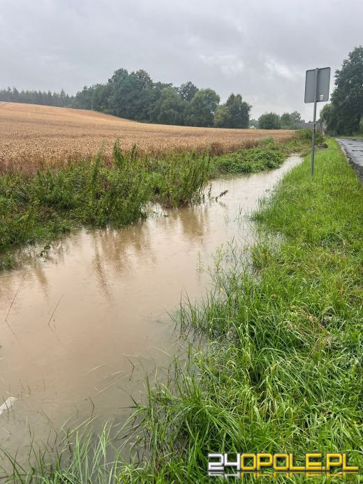 Ostrzeżenia 3. stopnia dla części Opolszczyzny. Blisko 100 interwencji służb