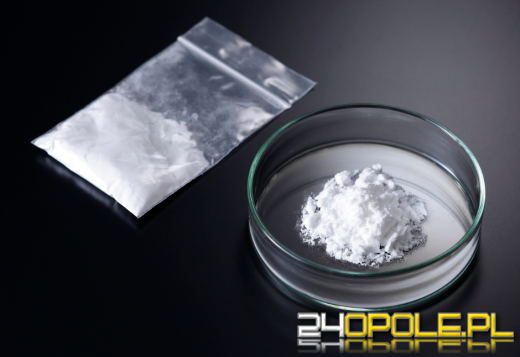 Ponad 1400 porcji amfetaminy. Wpadł z narkotykami ukrytymi w lodówce