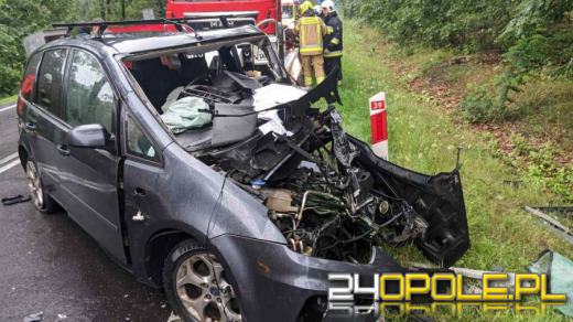  Śmiertelny wypadek na DK39 Namysłów - Kępno. Nie żyją dwie osoby