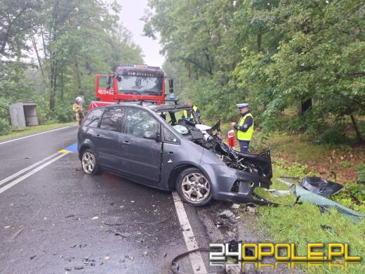 Śmiertelny wypadek na DK39 Namysłów - Kępno. Nie żyją dwie osoby
