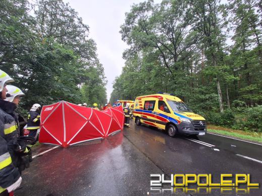  Śmiertelny wypadek na DK39 Namysłów - Kępno. Nie żyją dwie osoby