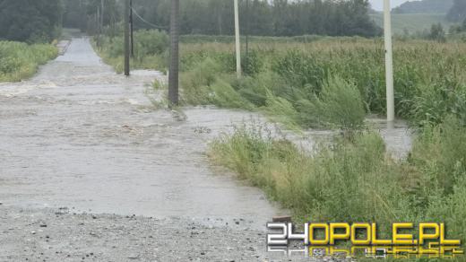 Lepiej późno niż wcale, czyli naprawa wału w Kałkowie