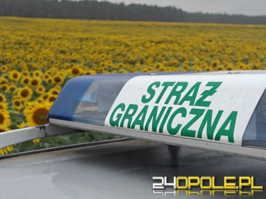 Straż Graniczna: 49 cudzoziemców wykonywało pracę nielegalnie