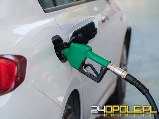 Czy karta paliwowa to dobry pomysł dla Twojej firmy? Wyjaśniamy