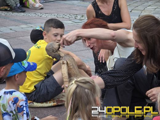 OpenOPOLE'25 trwa - Opole zamienia się w plenerową scenę sztuki