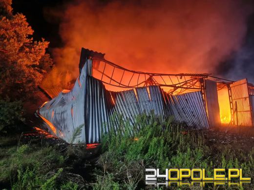 Pożar hali magazynowej w Chróścinie. Spłonęła konstrukcja wypełniona foliami