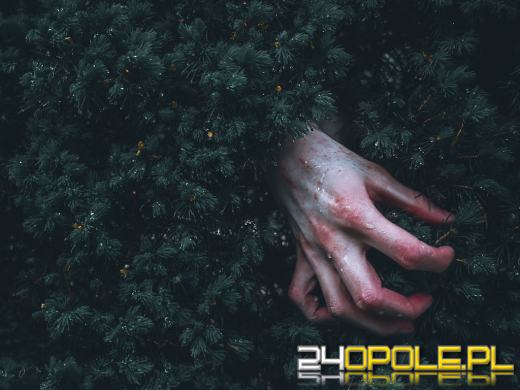 "Znaki" - thriller, który rozbudził emocje w całej Polsce