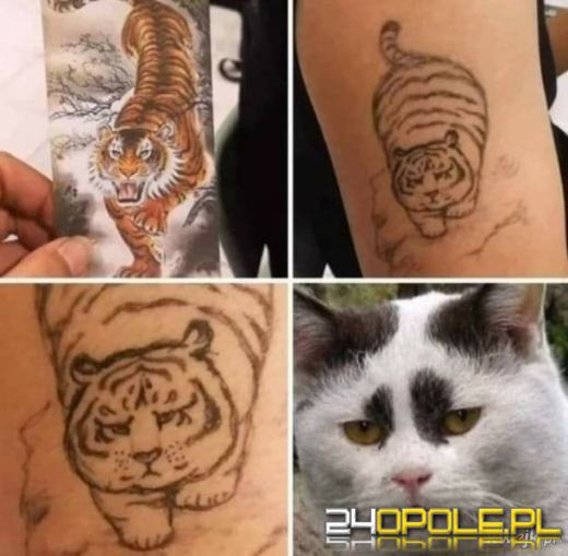 Dlaczego koty rządzą internetem? Dziś obchodzimy Międzynarodowy Dzień Kota