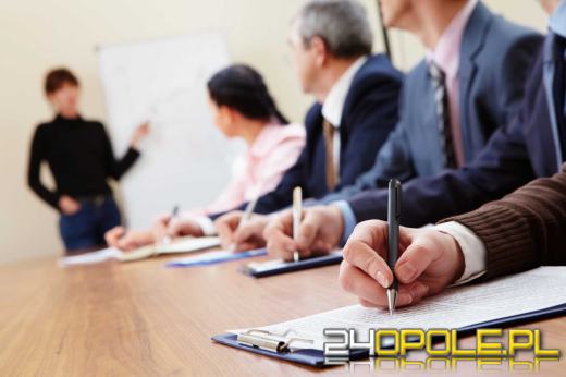 Jakie kursy pomogą Ci założyć firmę od podstaw?