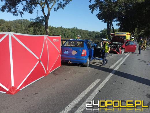 Jastrzygowice: Dwa auta zderzyły się ze sobą. Jedna ofiara śmiertelna(AKTUALIZACJA)